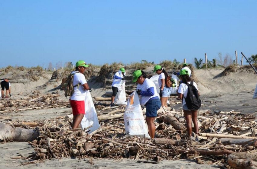  Cemex une esfuerzos por las playas en México – El Sudcaliforniano