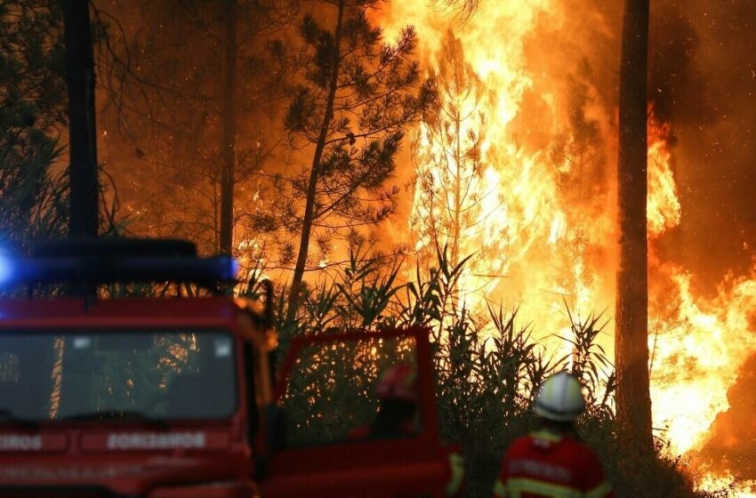  Nueva ola de calor golpea a Europa con incendios en España, Portugal y Francia