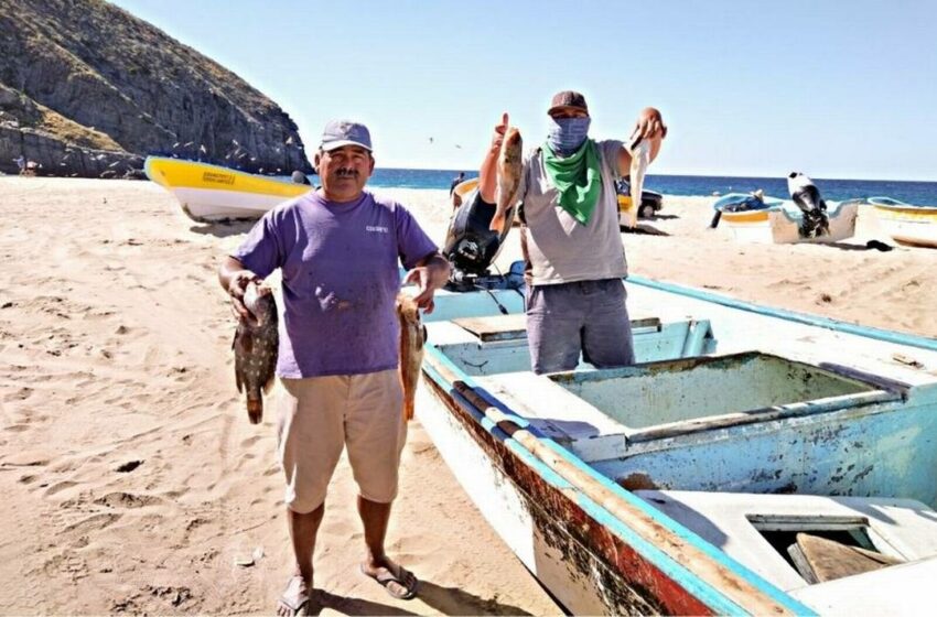  Extienden reinscripción a programa Seguro de Vida a Pescadores – El Sudcaliforniano