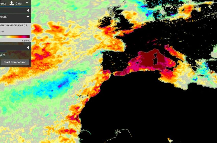  El Mediterráneo alcanza 30° en una potente ola de calor marina que ya ha batido récords … – El País