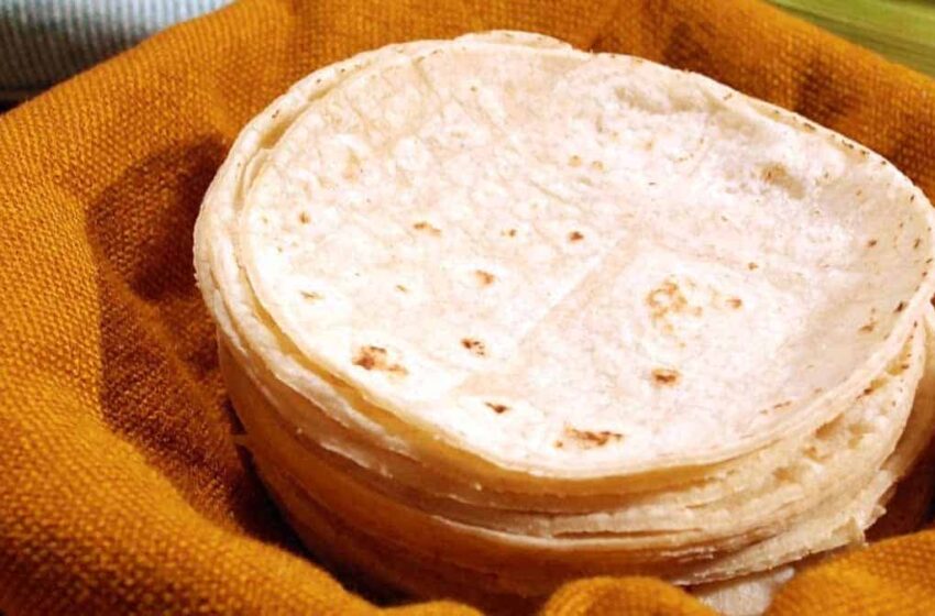  En Sonora se venden las tortillas más caras – Diario del Yaqui