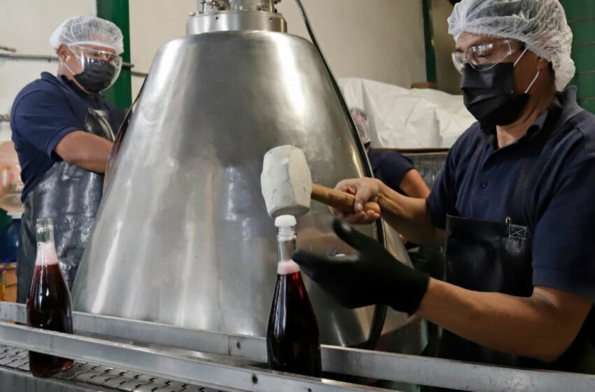  Guerrero, SLP y Tabasco aumentan su actividad industrial: Inegi | MVS Noticias