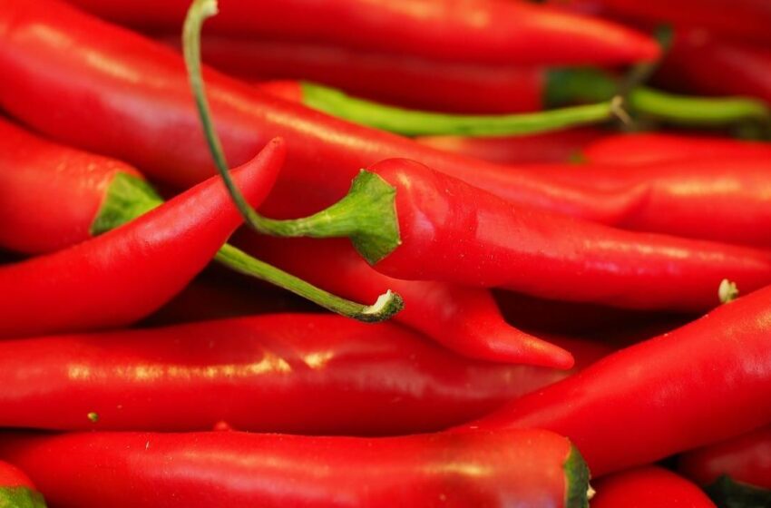  ¿Qué le pasa a tu cuerpo si comes mucho picante todos los días? Te explicamos | Gastrolab