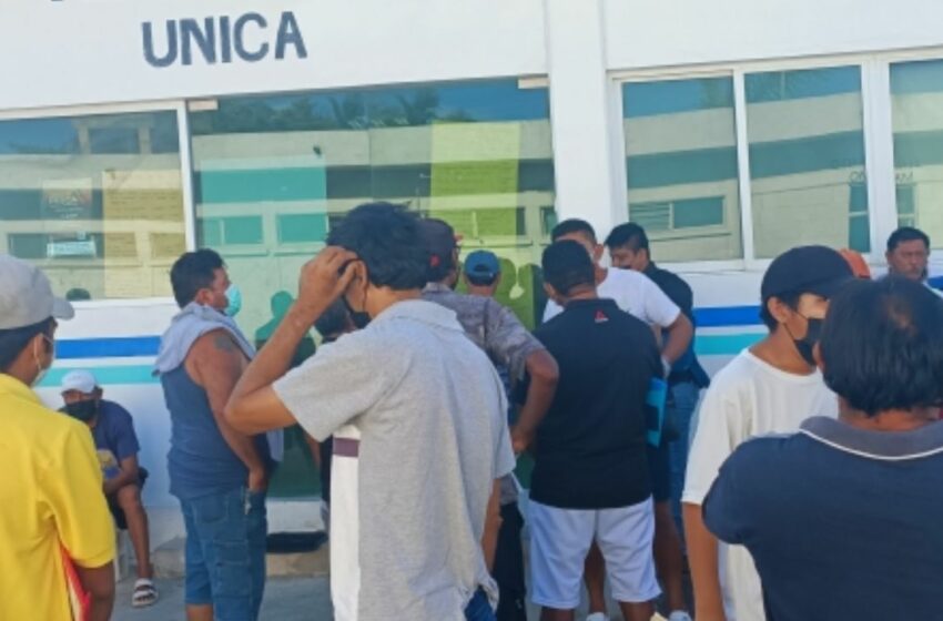  Se gasta $1,362 en 3 documentos para la pulpeada en Progreso – Diario de Yucatán