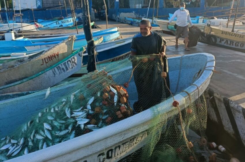  En Yucatán, piden vigilancia integral contra pescadores furtivos y piratas