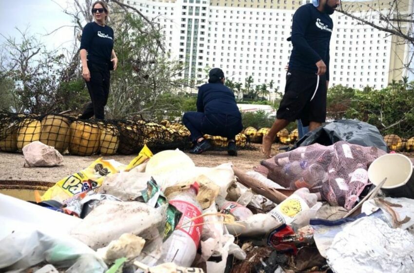  Instala MazConCiencia biobarda en el Estero del Yugo en Mazatlán | Radio Fórmula