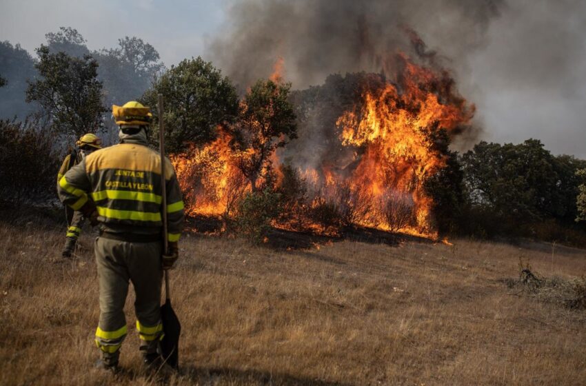  El Gobierno convoca a los sindicatos para hablar del Estatuto Básico de Bomberos Forestales