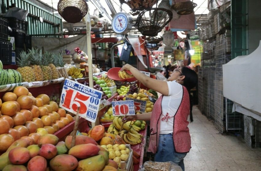  Productos de la canasta básica tuvieron un 'ligero aumento': Profeco – Mi Bolsillo