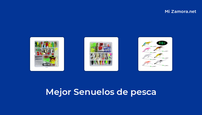  47 Mejor senuelos de pesca en 2022 [basado en 959 reseñas] – MiZamora