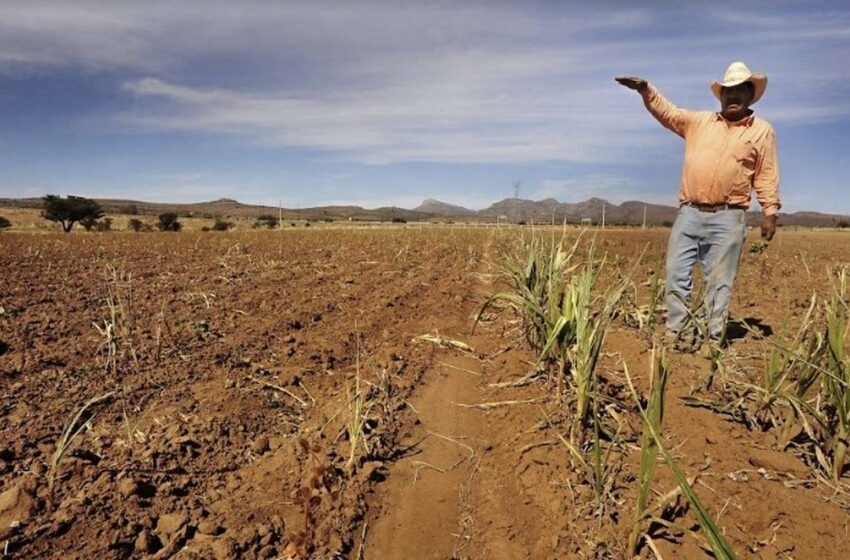  Sequía elevará el precio de alimentos, advierte CNA – El Sol de México