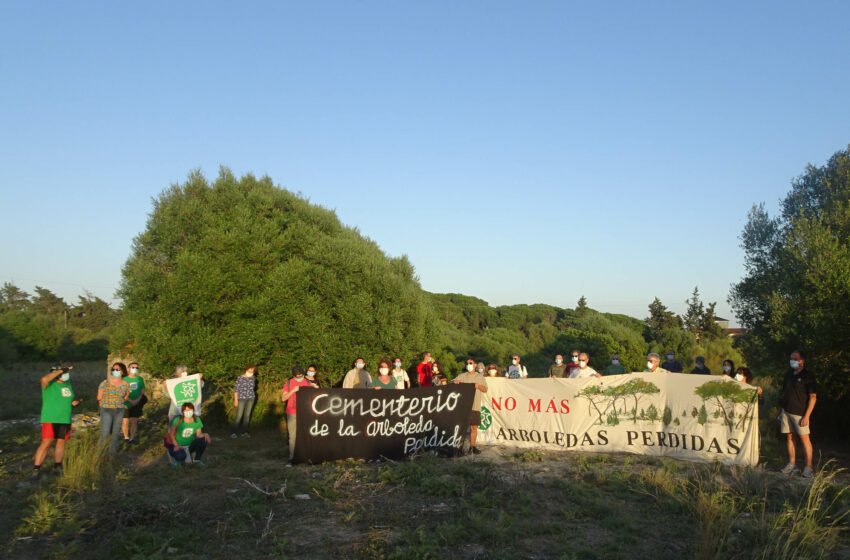  La Junta pretende aprobar un proyecto urbanístico ilegal en Rancho Linares – Ecologistas en Acción
