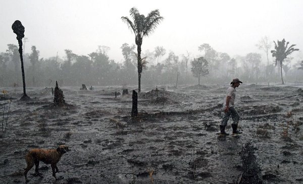  La designada ministra de ambiente de Colombia se compromete a luchar contra la deforestación