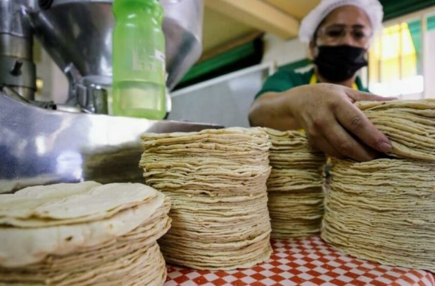  Tortilla registra alza severa en 5 ciudades – La Razón de México