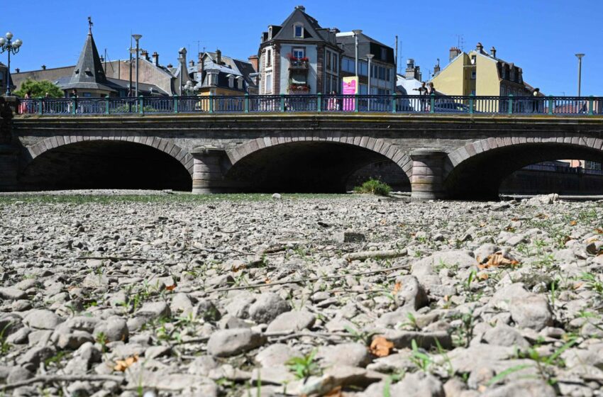  Europa sin agua: el continente se asoma a un futuro con sequías | Clima y Medio Ambiente | EL PAÍS