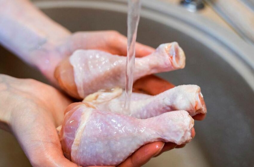  ¿Lavas el pollo crudo? Estas son las razones por las que es peligroso hacerlo – El Financiero