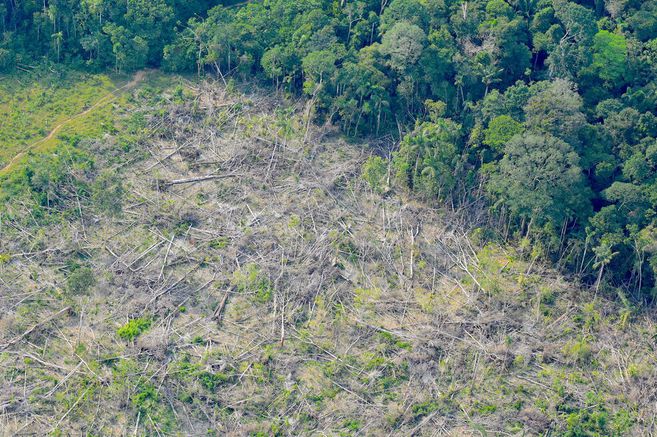  Récord de deforestación en la Amazonía brasileña