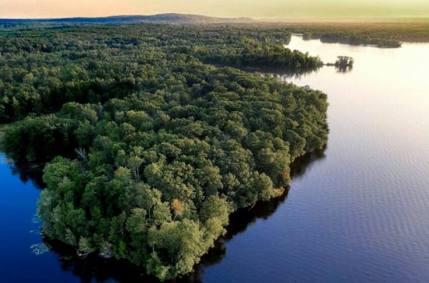  A pocos brasileños les preocupa el medio ambiente en la Amazonía | Modo Fontevecchia