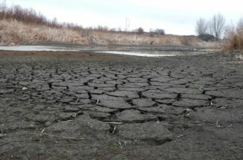  Agua del campo, clave para que evadir la crisis alimentaria – El Heraldo de México