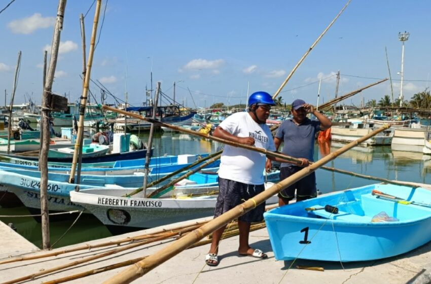  Buscan en alta mar a pescador que cayó de una embarcación – Diario de Yucatán
