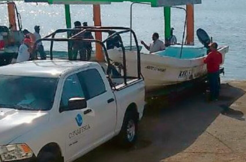  Pescan pulpo con ganchos en Río Lagartos – Diario de Yucatán