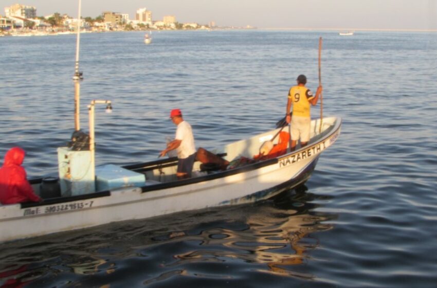  Marea roja en Yucatán: por afectación pescadores piden apoyo económico; paseo en el mar sigue