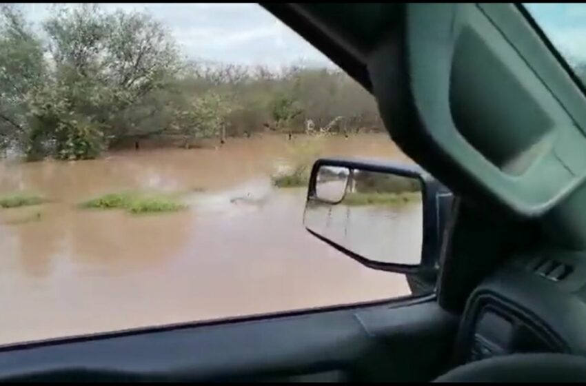  Diluvio en Sonora: El fin de semana llovió lo de 6 meses; presas se llenaron y se redujo la sequía