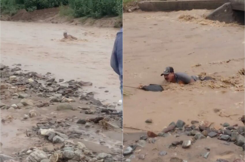  Rescatan a hombre que es arrastrado por la corriente de un río en Cumpas, Sonora