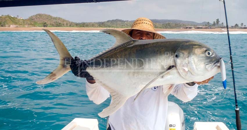  No todas las áreas de BCS son óptimas para la pesca deportiva: Investigadora