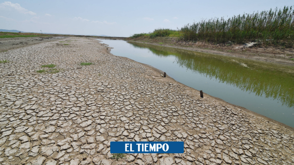  Piden triplicar inversión y entender conexión crisis de agua y clima – Medio Ambiente – Vida