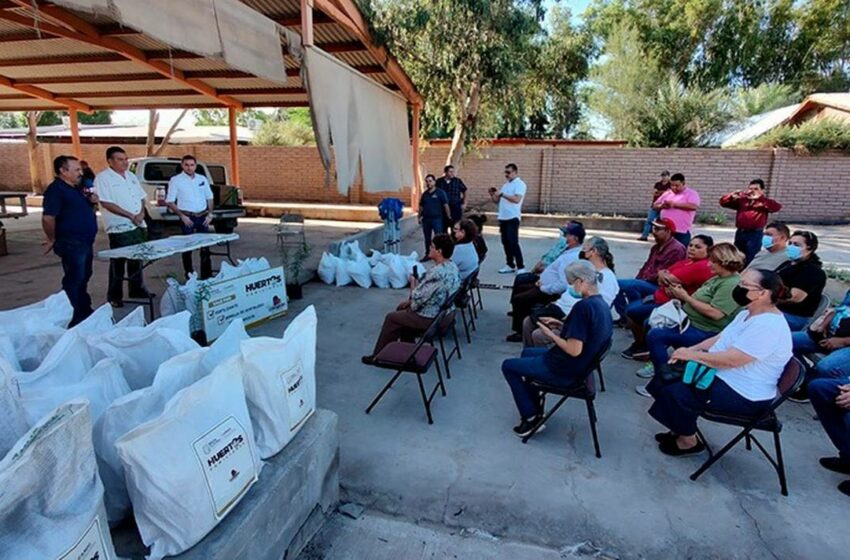  Entregan apoyos del programa de Huertos Familiares – La Voz de la Frontera