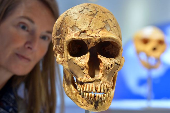  Un cambio en un gen hizo la diferencia entre el cerebro humano moderno y el neandertal