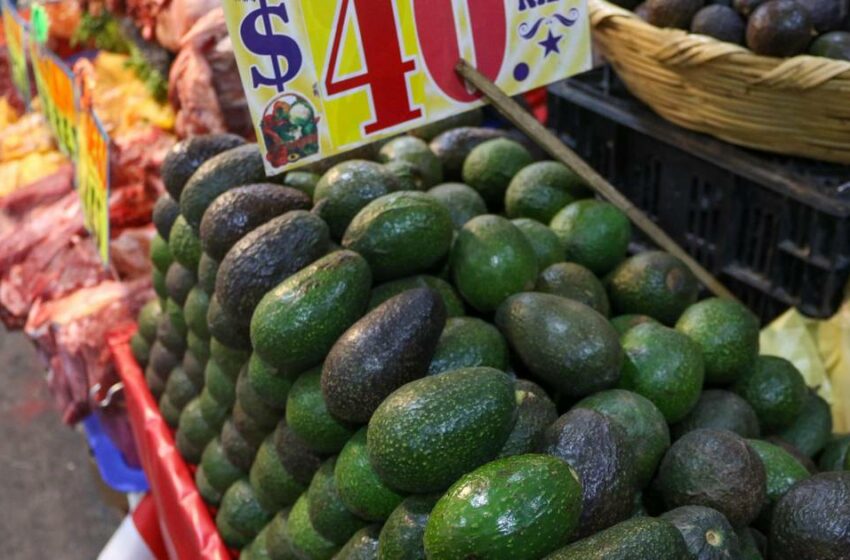  Cebolla te hizo llorar… pero el aguacate no: inflación de agosto 'salva' tu guacamole