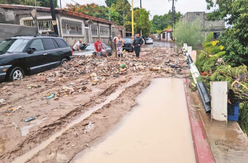  Fluye ayuda para Coahuila y Sinaloa; van 7 decesos – El Universal