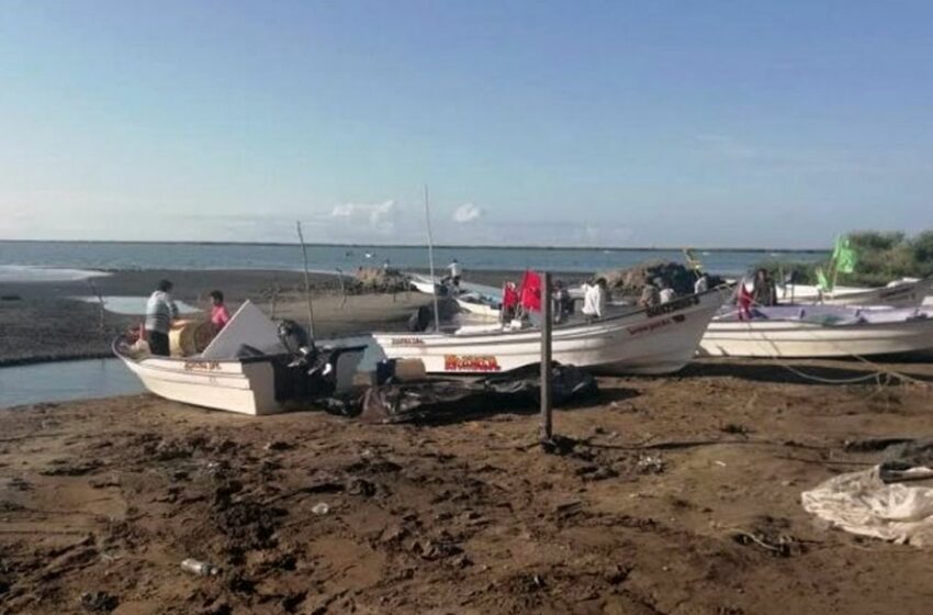  Sonora: Pescadores camaroneros de Bahía del Tóbari sufren mal inicio de temporada