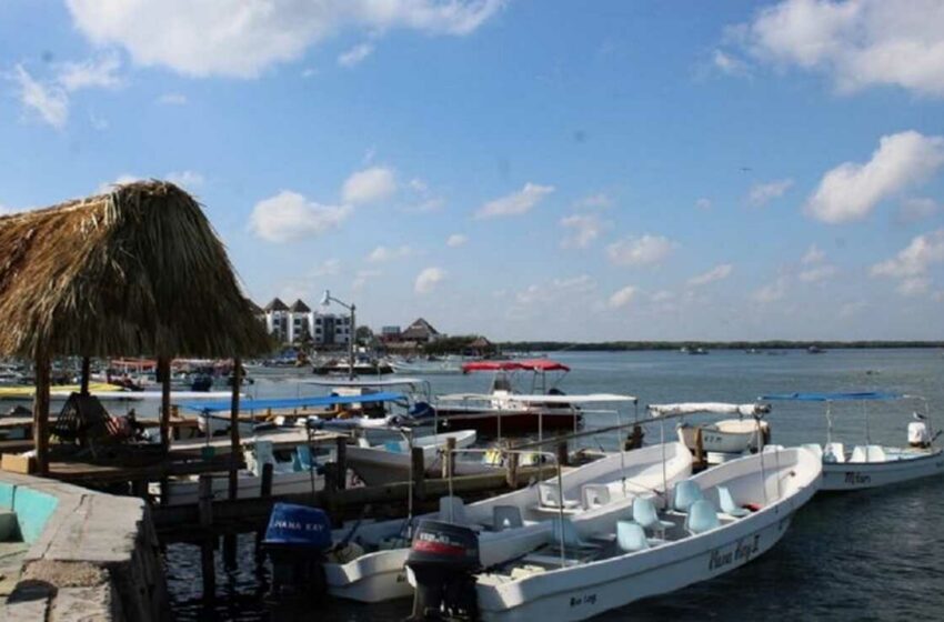  Cae la pesca de pulpo y mero por marea roja en Yucatán – El Universal
