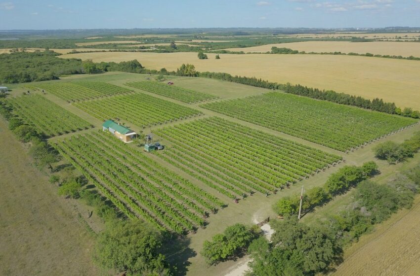  Entre Ríos suma nuevas reservas a sus Áreas Naturales Protegidas – Medio ambiente