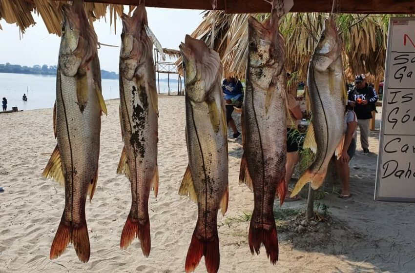  Regresa pesca en Huimanguillo este fin de semana – Tabasco HOY