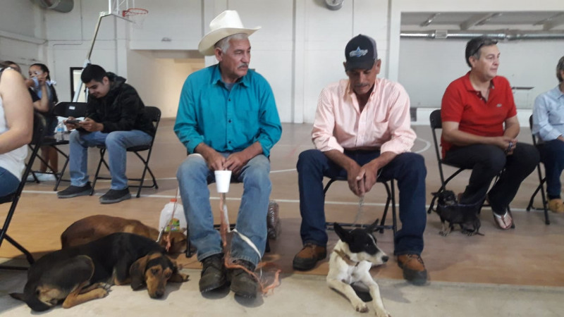  Lleva Salud Sonora Jornada de Salud y Bienestar Canina y Felina a Moctezuma | TVPACIFICO.MX