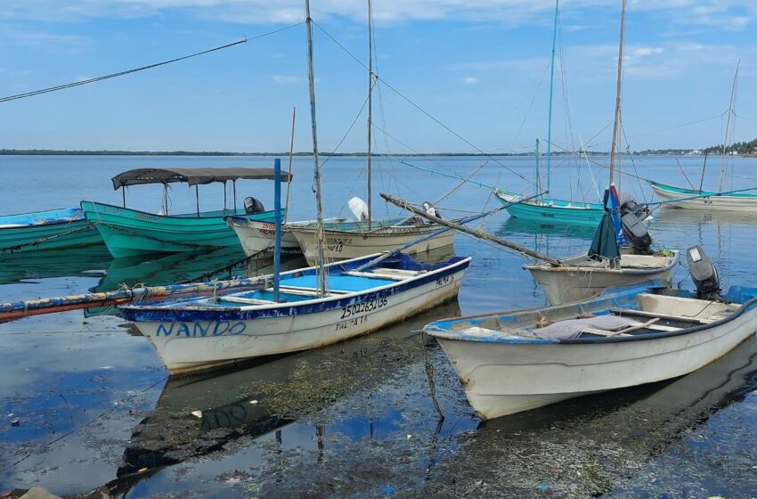  Golpea escasez de hielo a pescadores del sur de Sinaloa