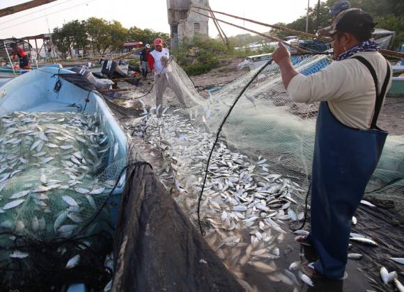  Aumentan ataques de piratas contra pescadores de Yucatán – Vanguardia
