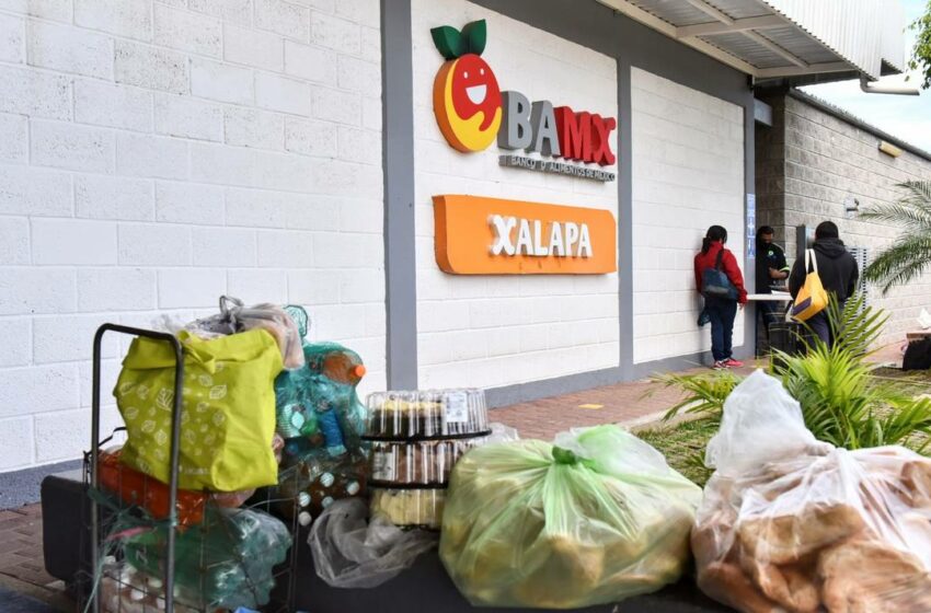  ¿Tú desperdicias comida? Familias buscan apoyo en Banco de Alimentos de Xalapa