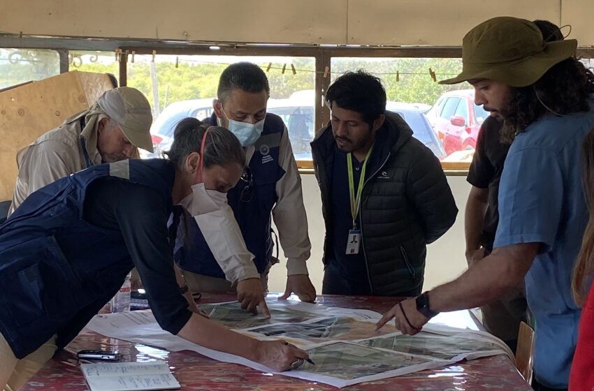  Tribunal Ambiental llega a Arica para recabar información sobre el Humedal del Río Lluta