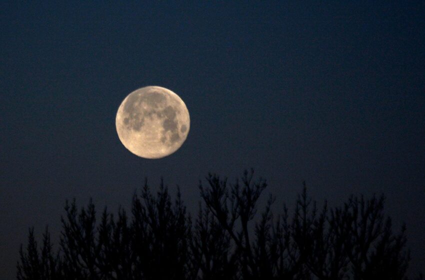  Luna del cazador: cómo y cuándo ver la Luna llena de octubre este fin de semana