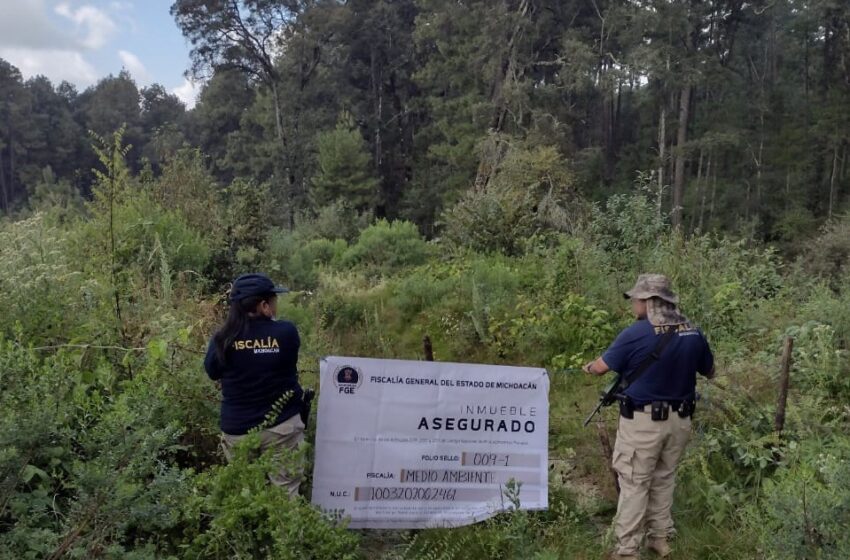  Asegura FGE predio relacionado en delitos contra el ambiente – Quadratín