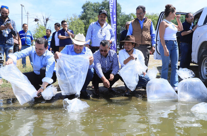  Siembran SDAyR y pescadores – El Heraldo de León