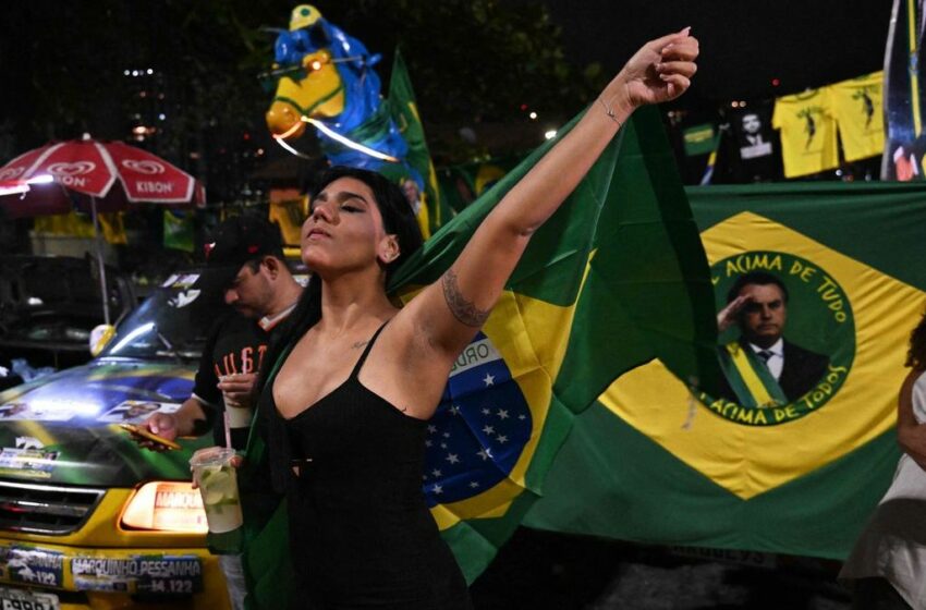  Elecciones en Brasil: ¿por qué erraron todos los pronósticos?
