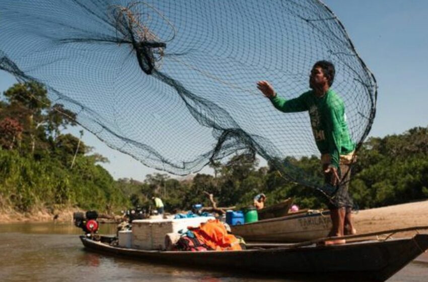  La pesca en Yucatán, ante varias necesidades
