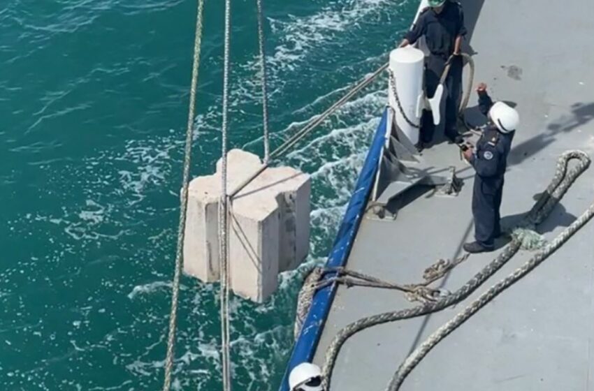  Ponen bloques en mar para proteger vaquita | Periodico El Vigia