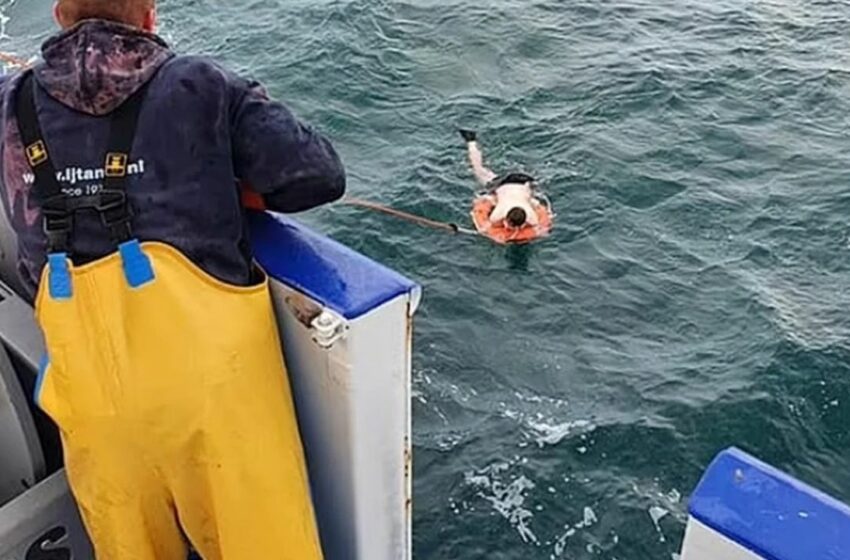  El sorprendente caso de un hombre que logró sobrevivir a naufragio comiendo algas y …