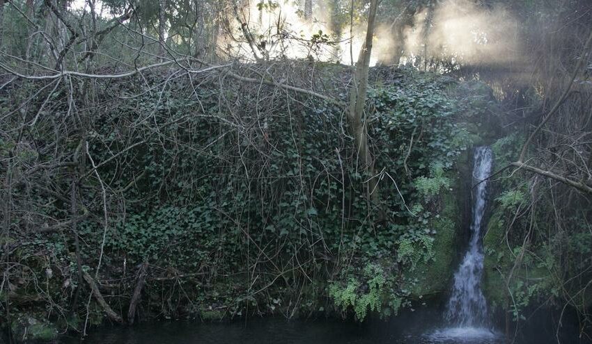  Un dispositivo controlará la afluencia de senderistas en el arroyo Bejarano – Diario Córdoba